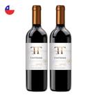 Kit 2 Vinhos Ventisquero Tantehue Carménère Tinto Chile 750ml