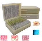 Kit 25 Lâminas Preparadas Histologia Para Microscopio