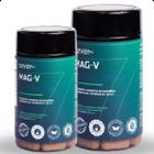 kit 2uni magnésio coenzima Q10 vitaminas E, B1 B2 Mag-v 120 Cap com vitaminas E,B1, B2 ótimo para dores enxaqueca crises fortes controle satisfatório