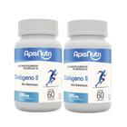 Kit 2x Colágeno Tipo 2 com 60 Cápsulas 300mg - ApisNutri