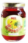 Kit 2X: Mel De Eucalipto Alvorada 330G - Alvorada Orgânicos