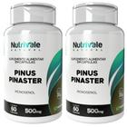 Kit 2X Pinus Pinaster 60 Cápsulas - Nutrivale