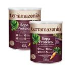 Kit 2X: Sopa Proteica Terramonia 320G - Terramazonia