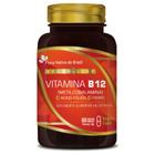 Kit 2X Vitamina B12 + Ferro + Ácido Fólico 60 Vegan Caps