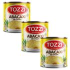 Kit 3 Abacaxi Em Calda Rodelas Lata 830g - Tozzi