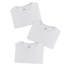 Kit 3 Camisetas Masculinas Hering 100% Algodão