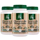 Kit 3 Cloreto De Magnésio (Produto Vegano) 60 Cápsulas 550mg