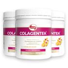 Kit 3 Colágeno hidrolisado Colagentek Vitafor laranja 300g