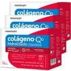 Kit 3 Colágeno Hidrolisado Verisol com Q10 Silício Orgânico Biotina Ácido Fólico Vitaminas e Minerais 30 Sachês Maxinutri