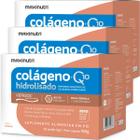 Kit 3 Colágeno Hidrolisado Verisol com Q10 Silício Orgânico Biotina Ácido Fólico Vitaminas e Minerais Sabor Natural Maxinutri