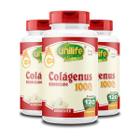 Kit 3 Colágenus Hidrolisado 1000mg Unilife 120 Comprimidos