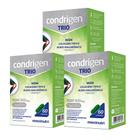 Kit 3 Condrigen Trio MSM Colágeno Tipo 2 com Ácido Hialurônico 60 Cáps Maxinutri