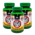 Kit 3 Cranberry desidratada 600 mg 60 cápsulas por frasco