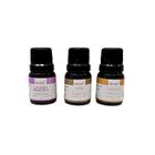 Kit 3 Essências Aromáticas Puras 10ml cada Aromá