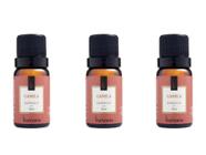 Kit 3 Essências Canela - 10Ml Via Aroma