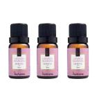 Kit 3 Essências Via Aroma Para Aromatizador Difusor Elétrico 10ml (Lavanda Francesa+Lavanda Francesa+Lavanda Francesa)