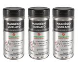 Kit 3 Frascos - Magnesio Quelato 120 Capsulas 433Mg