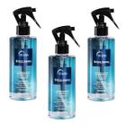 KIT 3 Frizz Zero Truss Selamento E Tratamento Disciplinante 260ml