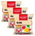 kit 3 Gelatina Sobremesa Sabor Morango Tecnutri Sache 1kg