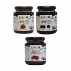 Kit 3 Geleias Berries Sem Açúcar Agreco: Frutas Vermelhas,