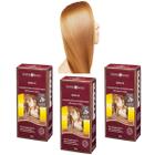 Kit 3 Henna Pó Surya Brasil 50g (escolha) - Cobre Cabelos Brancos