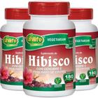 Kit 3 Hibisco com gengibre 180 comprimidos Unilife