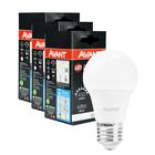 Kit 3 Lâmpada Pera Led 4,8W Luz Branco Frio 6500K Bulbo Soquete E27 Bivolt - AVANT