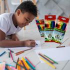 Kit 3 Lápis De Cor 12 Cores Tons Caixa Colorido Pintar Escolar Papelaria Ecológico Multicores Conjunto Atacado
