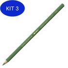 Kit 3 Lapis Supracolor Avulso 229 Dark Green 3888229