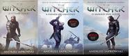  The Witcher: O Sangue dos Elfos (Em Portugues do Brasil):  9788578279592: _: Books