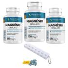 Kit 3 Magnesio Dimalato Suplemento Alimentar Saude 120 Caps + Porta Cápsulas