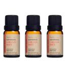 Kit 3 Óleo Essencial Aromaterapia Laranja Doce 10ml Viaaroma