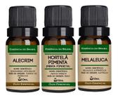 Kit 3 Óleos Essenciais 10ml - Alecrim, Hortelã, Melaleuca - Essência do Brasil