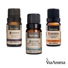 Kit 3 Óleos Essenciais Via Aroma: Alecrim, Lavanda e Tangerina - 10 Ml Puros Para Aromaterapia