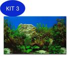 Kit 3 Painel Para Aquários Fundo Azul, Rochas E Plantas Pp-082