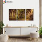 Kit 3 Peças Quadros Decorativos Árvores Floresta Paisagem