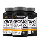 Kit 3 Picolinato De Cromo 250mg Bodyaction - BODY ACTION