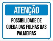 Kit 3 Placa Possibilidaqueda Folhas Palmeiras 36X46