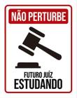 Kit 3 Placas Não Perturbe Futuro Juíz Estudando 36X46