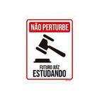 Kit 3 Placas Não Perturbe - Futuro Juíz Estudando