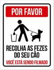 Kit 3 Placas Por Favor Recolha As Fezes Do Seu Cão Filmado