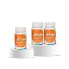 Kit 3 Polivitamínico AZ Multivitamínico Vitamina B12 Vittam 30 cápsulas