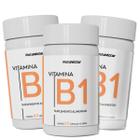 Kit 3 Pote De Vitamina B1 A Melhor Tiamina 180 Cápsulas Pura Thiamine Sem Sabor Original Alta Pureza - Natunectar