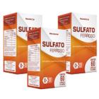 Kit 3 Potes Sulfato Ferroso Suplemento Alimentar Natural Vitamina Ferro Original Natunectar Total 180 Capsulas