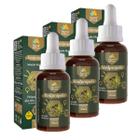 Kit 3 Própolis Verde Extrato Seco 70% Natural Puro Concentrado Forte Imunidade 30ml