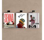 Kit 3 - Quadro Aryton Senna Formula 1 Carro Corrida Mdf