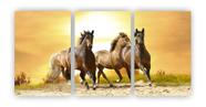 Kit 3 quadros cavalos selvagens natureza animal mdf 20x29 A4