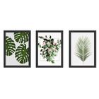 Kit 3 Quadros Decorativos 18X24 PLANTA, FOLHAS, COM VIDRO