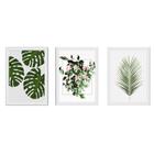 Kit 3 Quadros Decorativos 18X24 PLANTA, FOLHAS, COM VIDRO