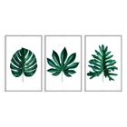 Kit 3 quadros decorativos 40x60cm vidro folhas tropicais verde escuro flnt007